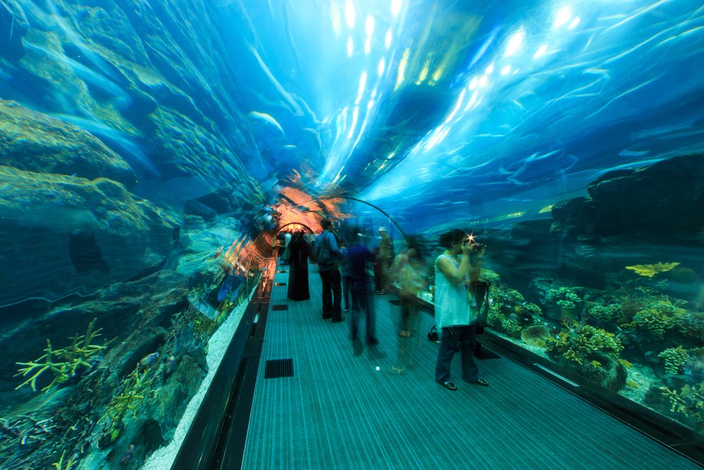 Dubai underwater world