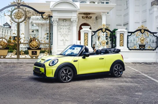 Mini in Bali