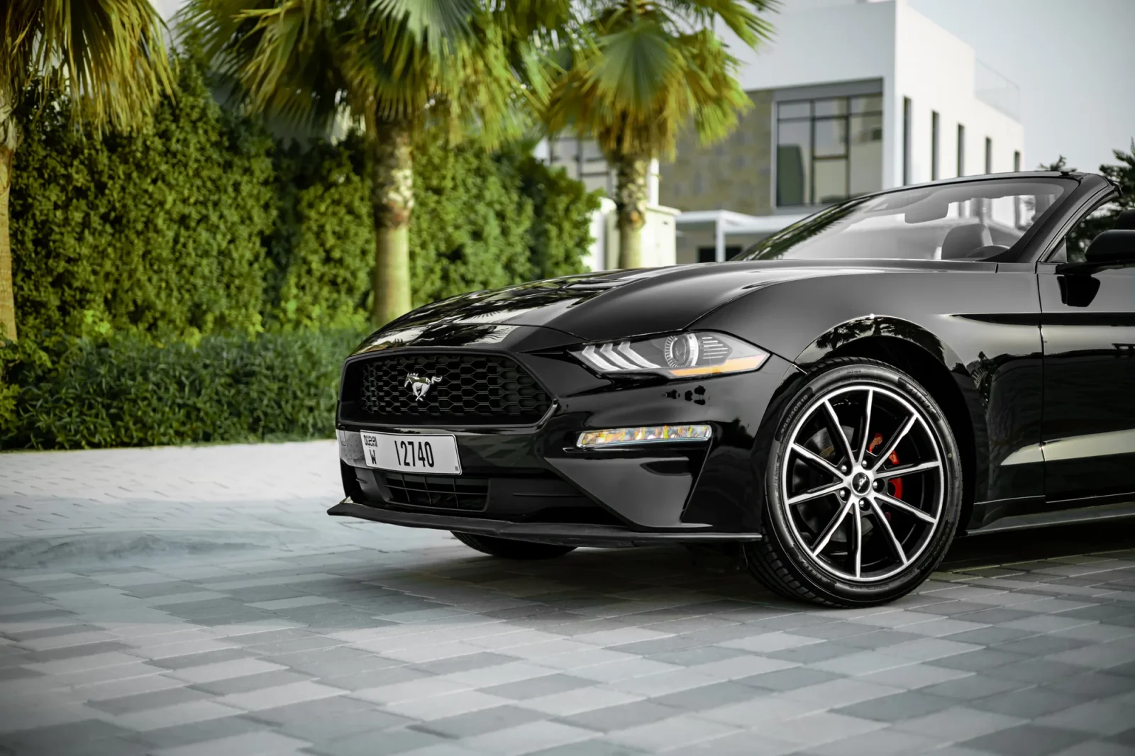 Huren Ford Mustang  Zwart 2022 in Abu Dhabi - 11 
