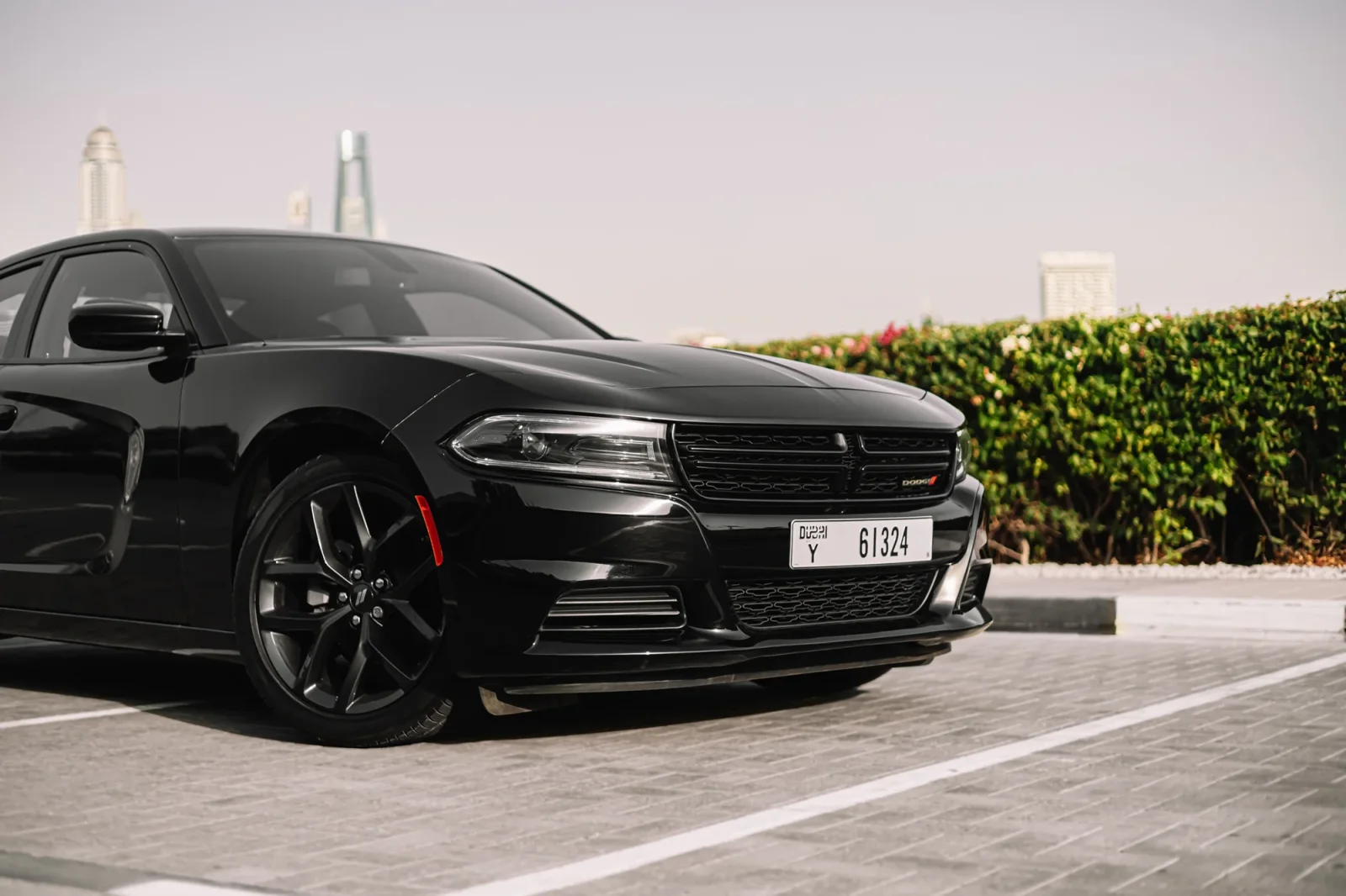 Rent Dodge Charger  Black 2022 in Abu Dhabi - 10 