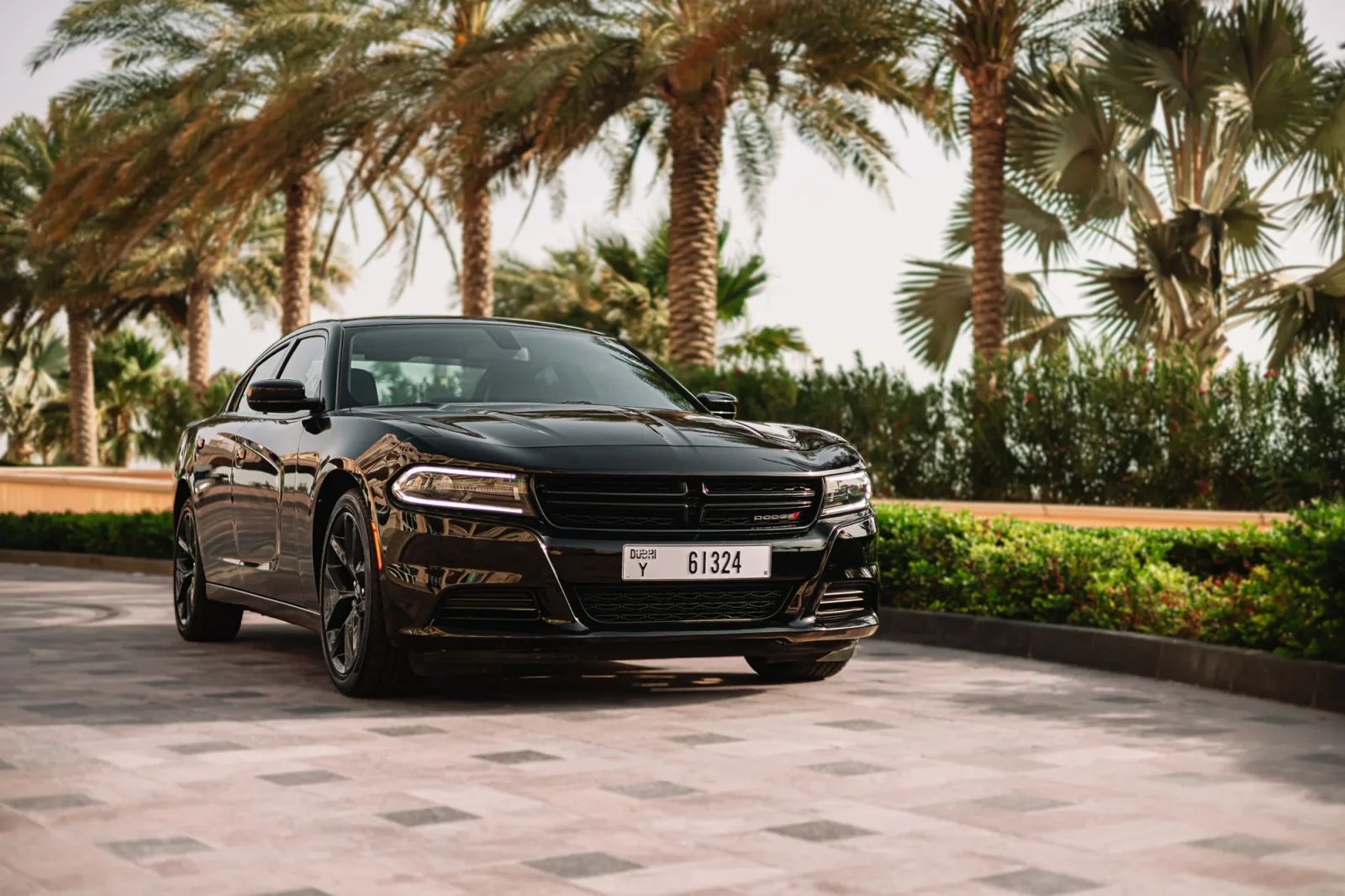 Rent Dodge Charger  Black 2022 in Abu Dhabi