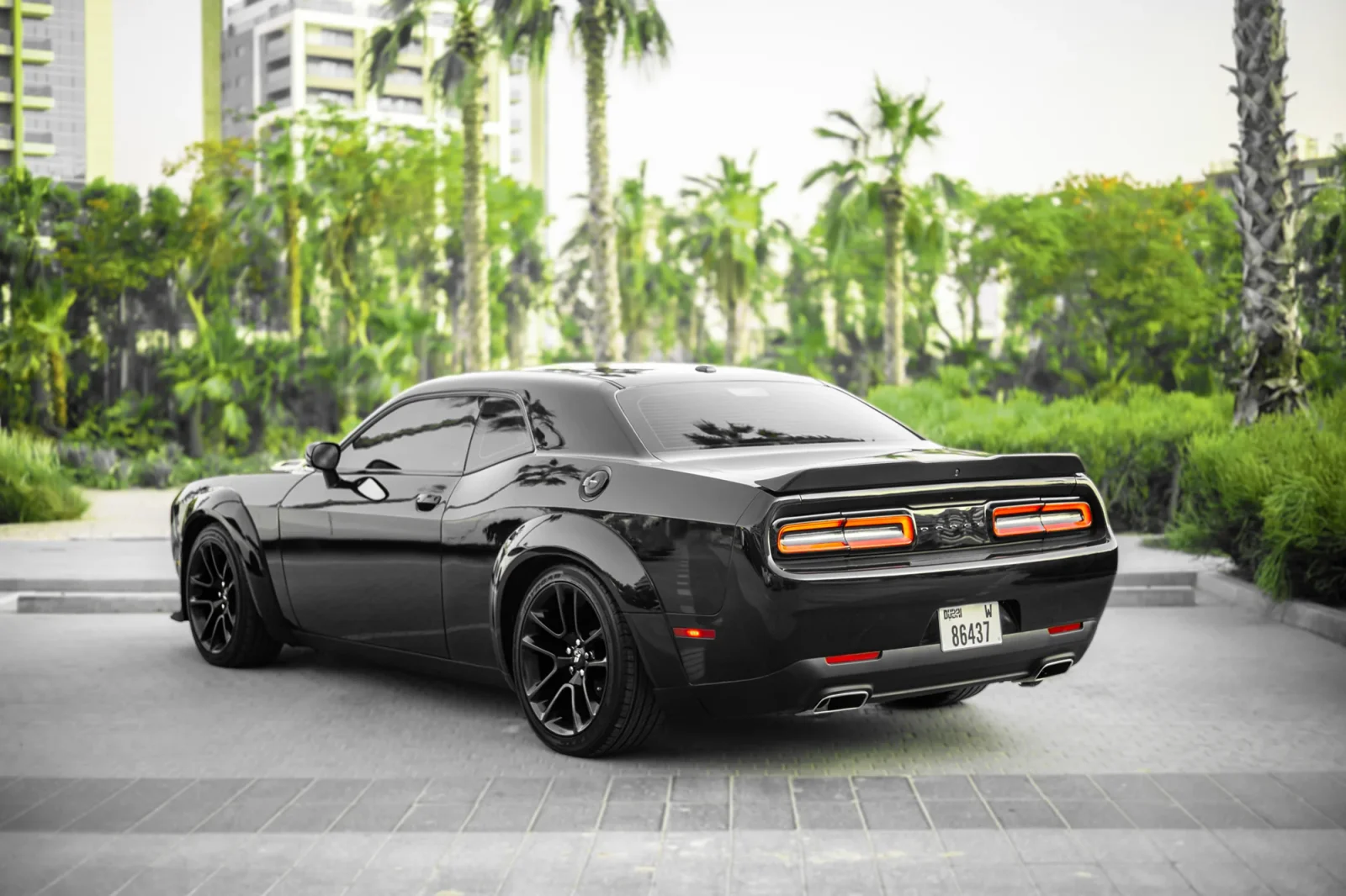 Rent Dodge Challenger  Black 2022 in Abu Dhabi - 12 