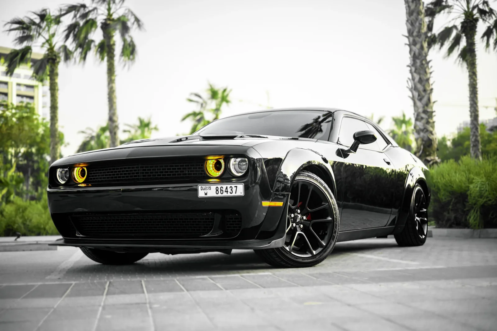 Rent Dodge Challenger  Black 2022 in Abu Dhabi - 2 
