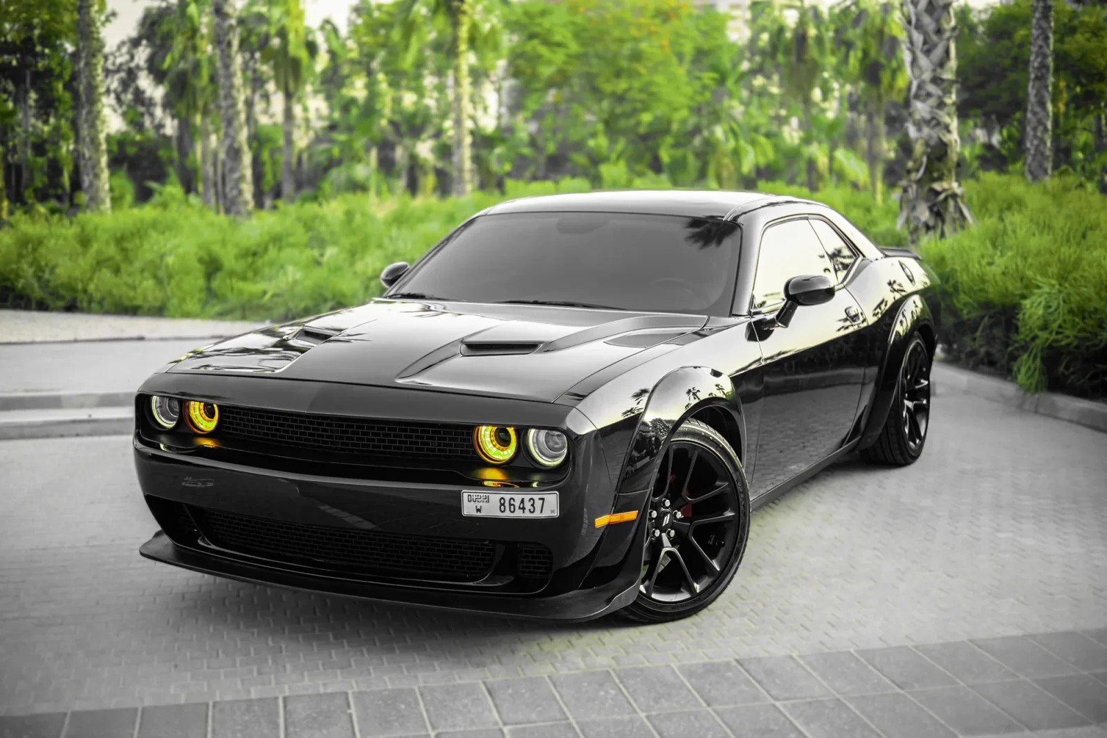 Rent Dodge Challenger  Black 2022 in Abu Dhabi - 9 