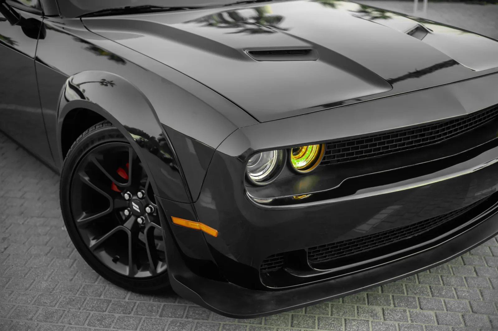 Rent Dodge Challenger  Black 2022 in Abu Dhabi - 10 