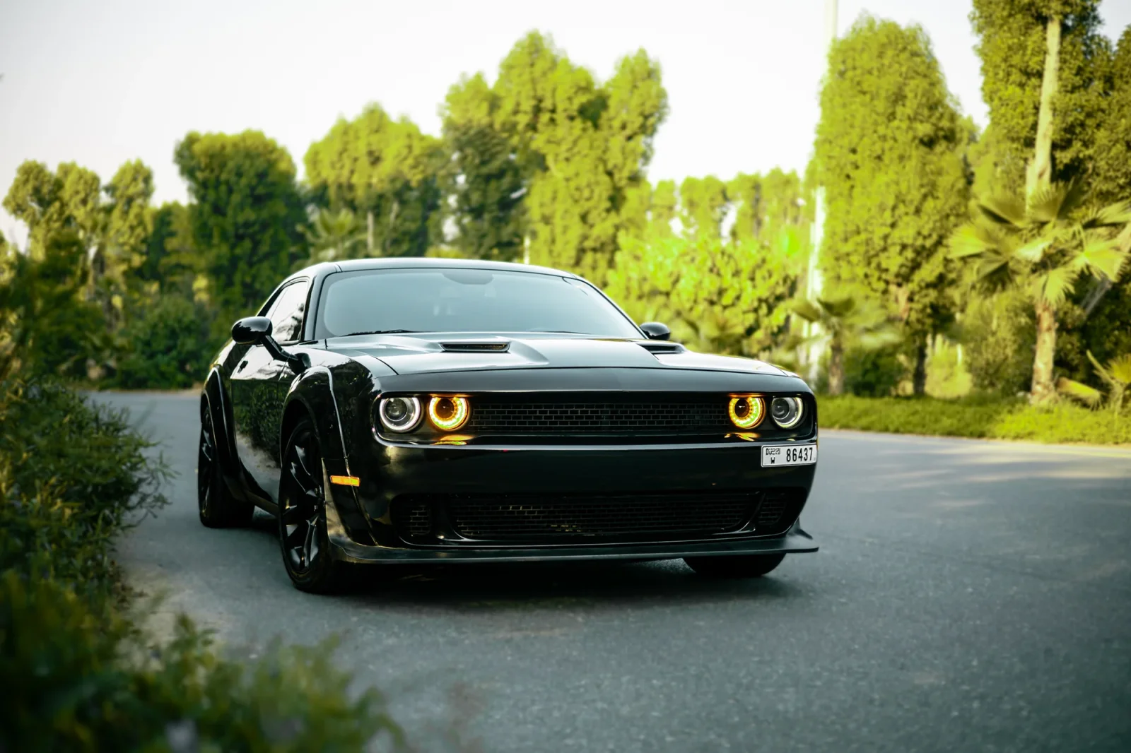Rent Dodge Challenger  Black 2022 in Abu Dhabi - 14 