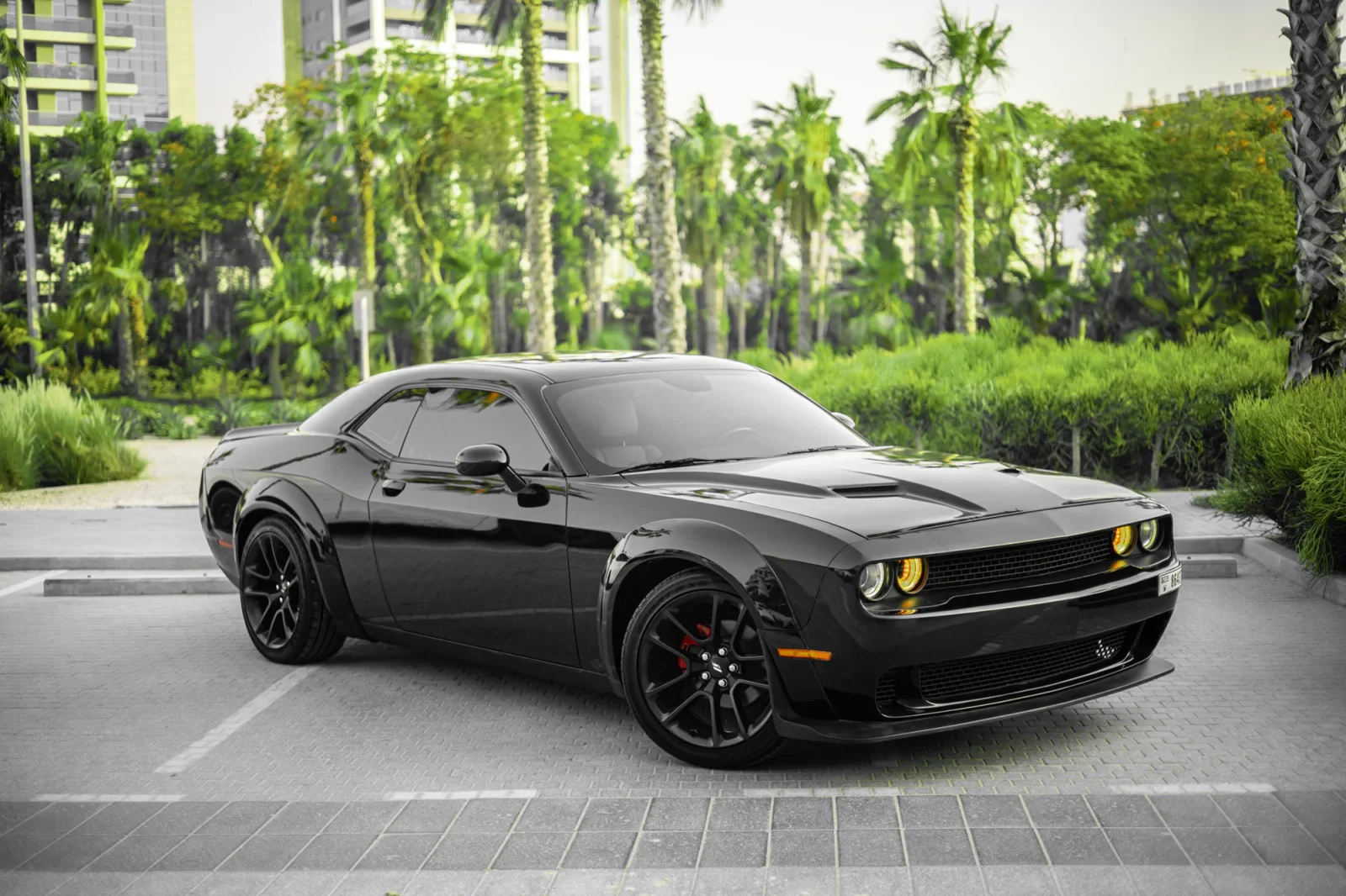 Rent Dodge Challenger  Black 2022 in Abu Dhabi - 13 