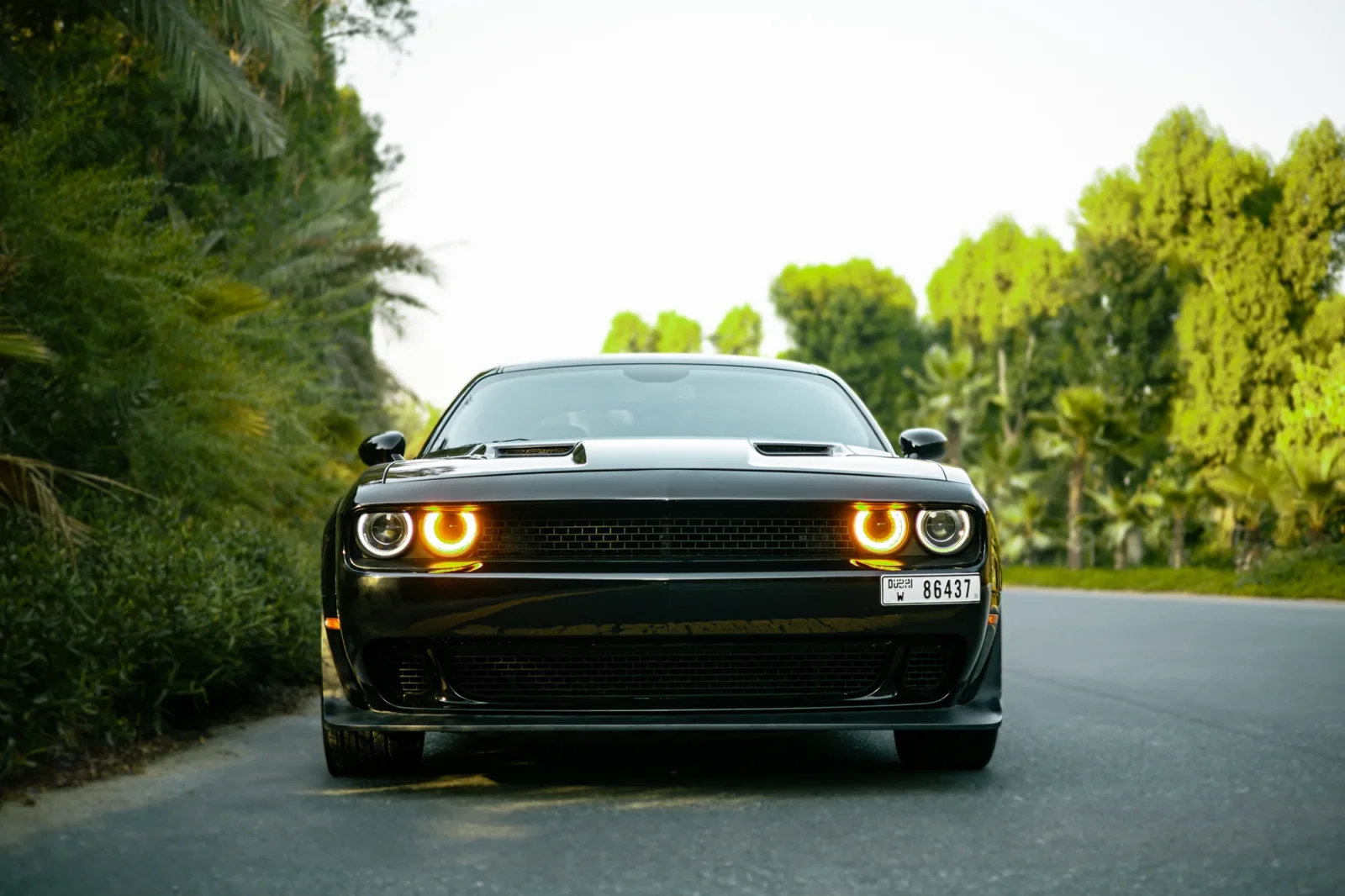 Rent Dodge Challenger  Black 2022 in Abu Dhabi - 15 