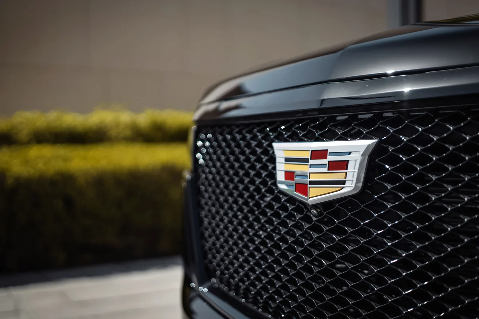 Rent Cadillac Escalade  Black 2023 in Abu Dhabi - 20 