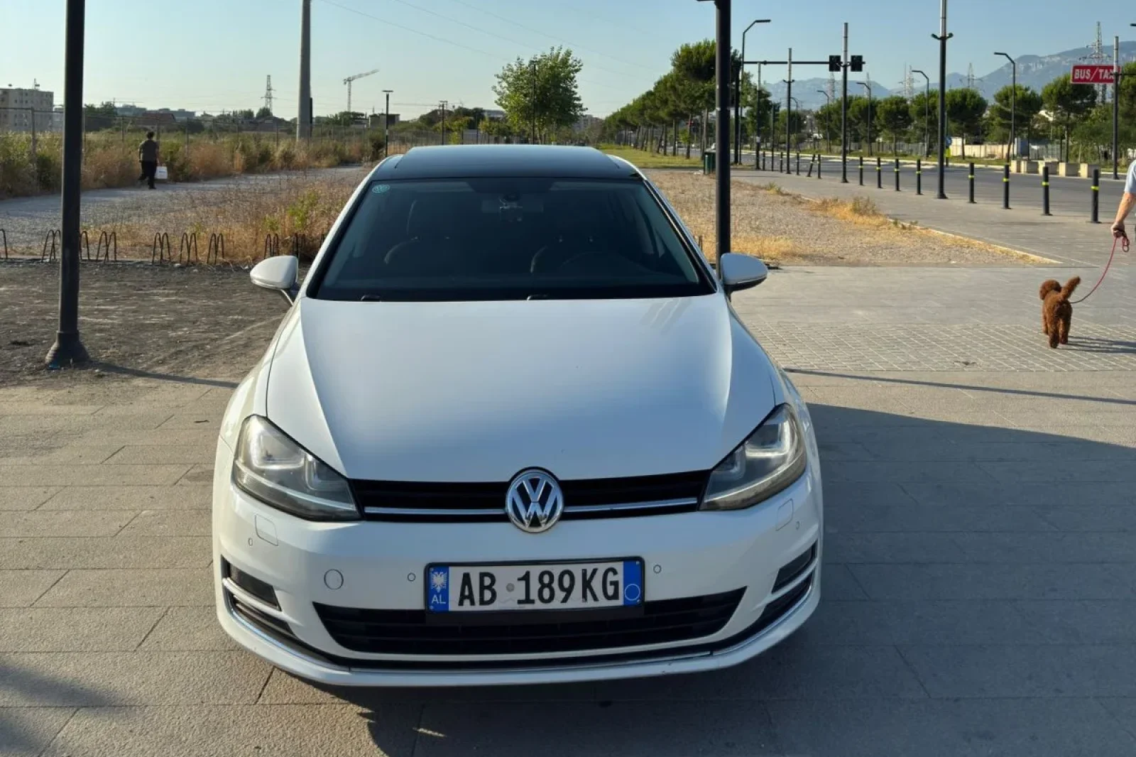 Rent Volkswagen Golf 7 White 2015 in Tirana - 2 