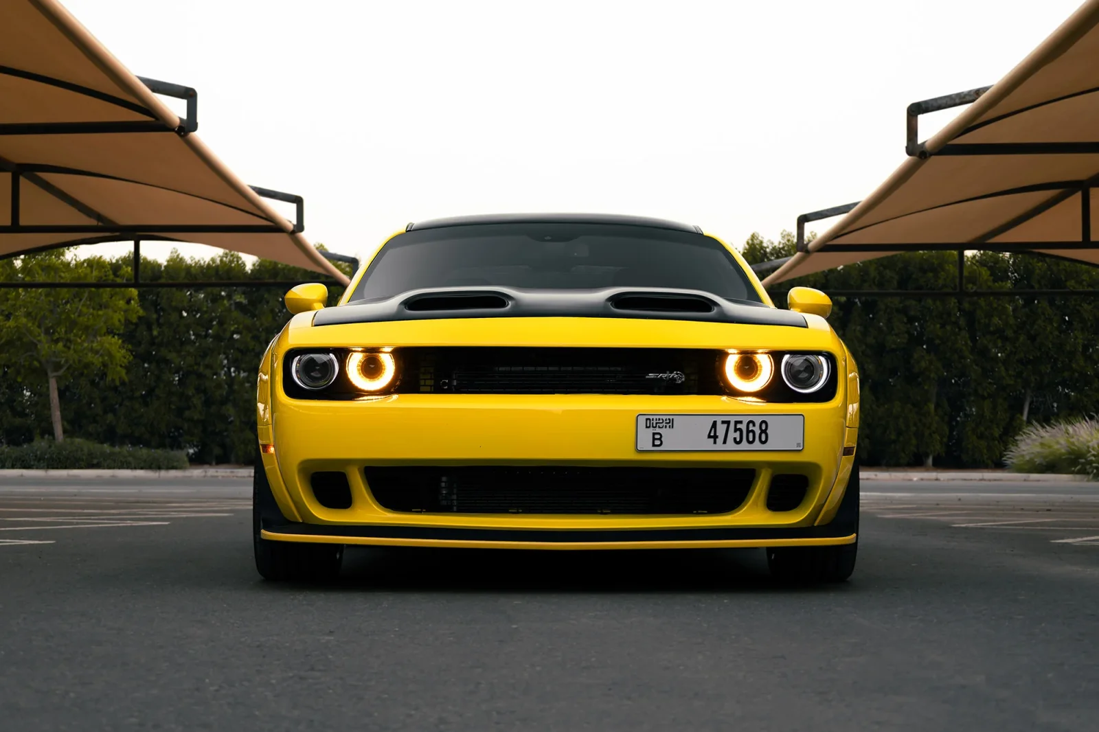 Rent Dodge Challenger R/T Scat Pack Yellow 2022 in Abu Dhabi - 12 