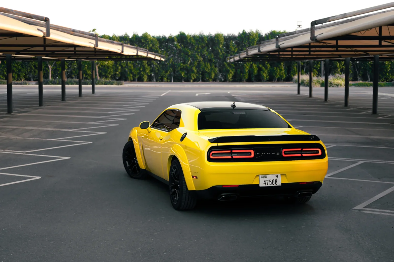 Rent Dodge Challenger R/T Scat Pack Yellow 2022 in Abu Dhabi - 9 