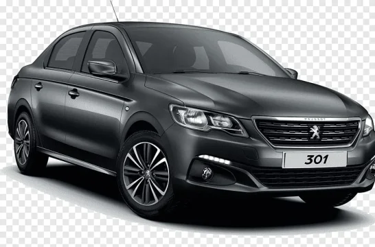 Peugeot 301 Negro 2025
