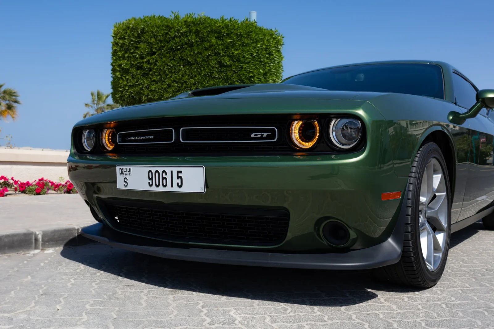 Loyer Dodge Challenger GT Vert 2023 en Abou Dabi - 8 
