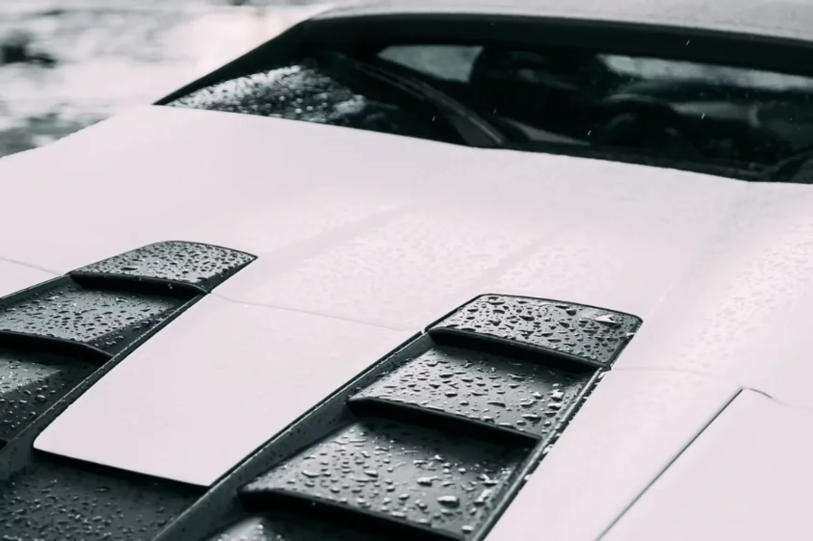 Affitto Lamborghini Huracan  Bianco 2019 in Miami - 13 