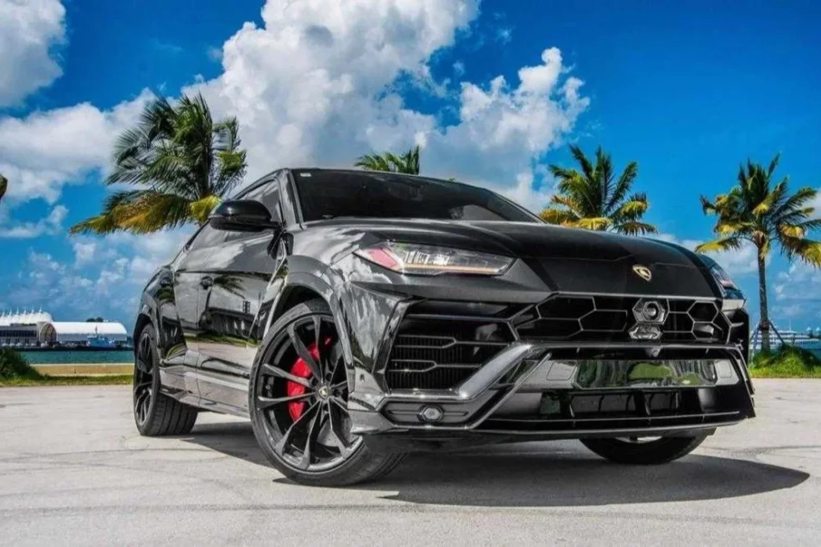 Rent Lamborghini Urus  Black 2022 in Miami