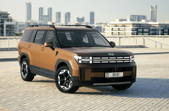 Hyundai Santa Fe Bruin 2026