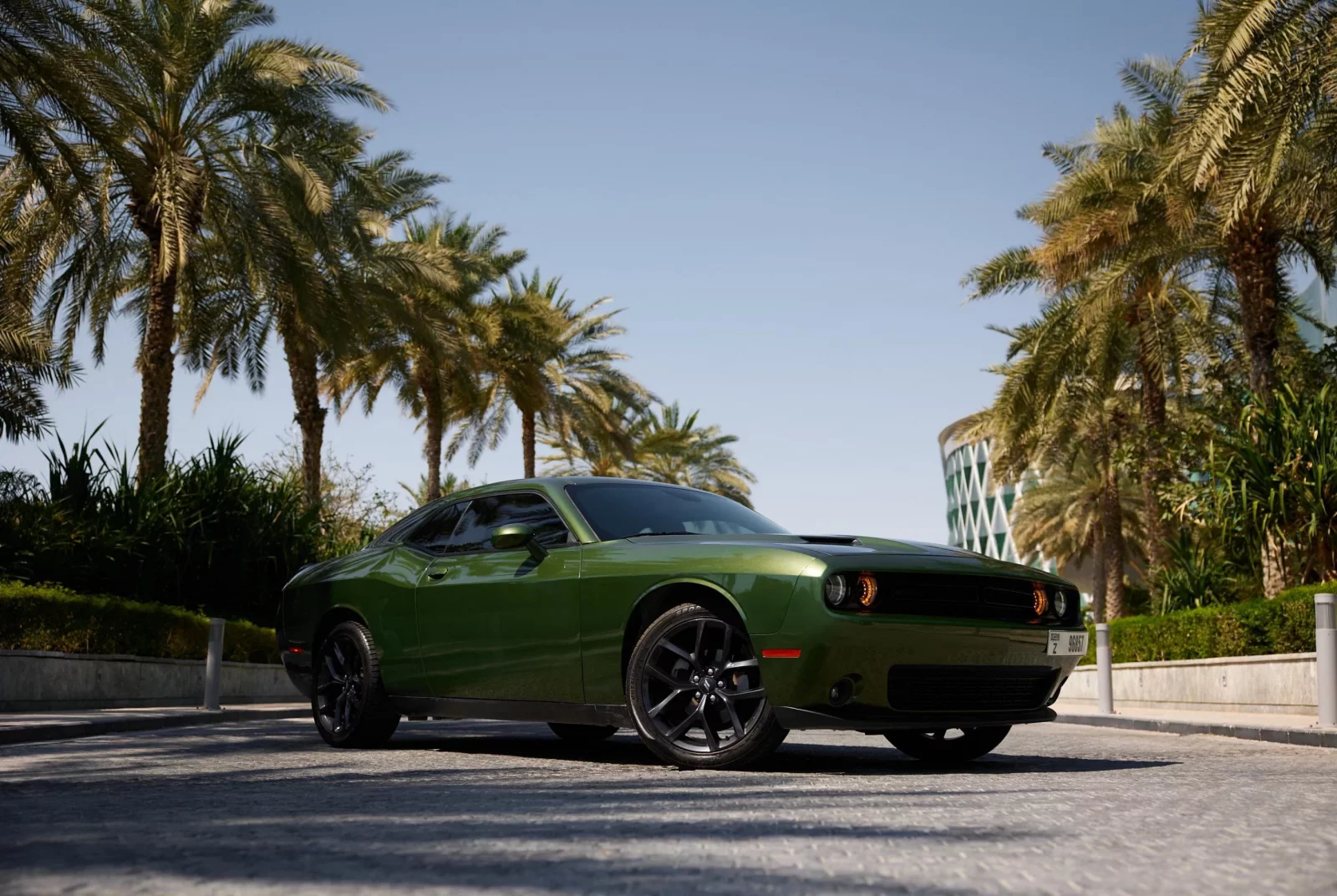 Rent Dodge Challenger  Green 2021 in Dubai