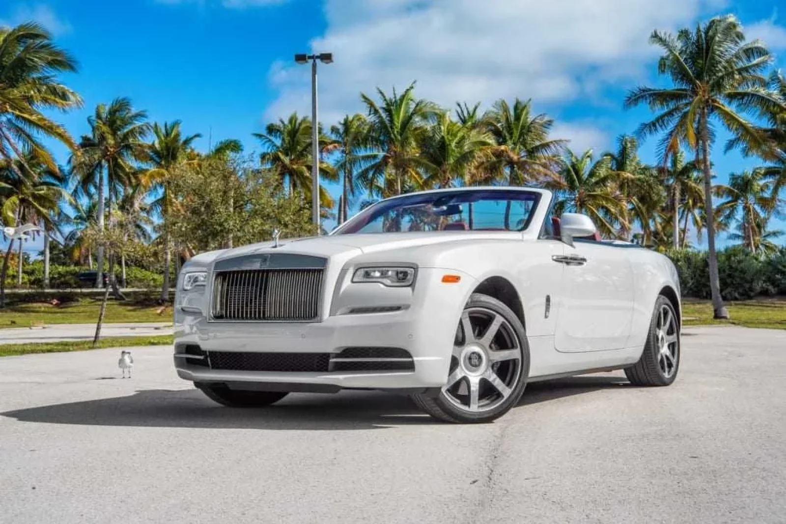 Rent Rolls-Royce Dawn  White 2018 in Miami