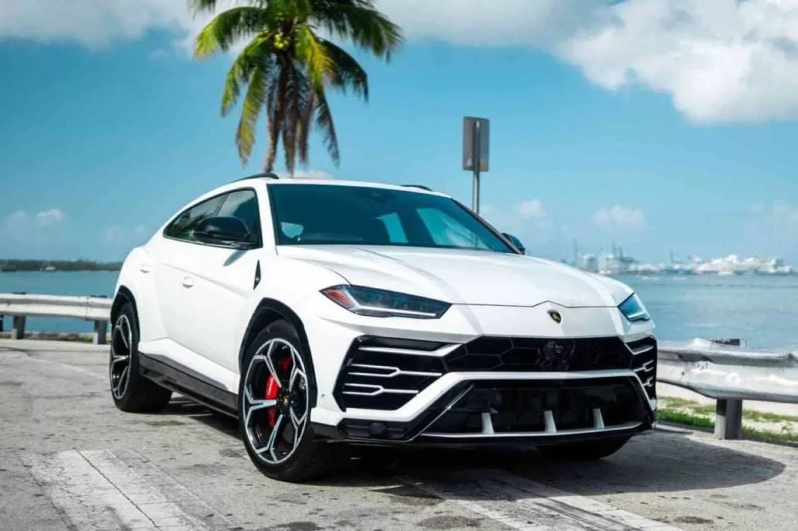 Rent Lamborghini Urus  White 2019 in Miami