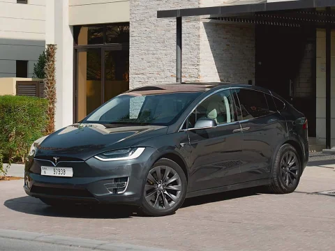 Tesla Model X Grey 2021